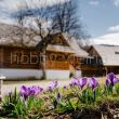 3 - 6. 07  PLENEROWE WARSZTATY         Przędzenie wełny u źródła  w Cięcinie,  Beskid Żywiecki - 3